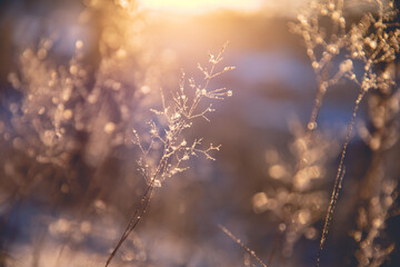 适合小学生学的英文歌曲